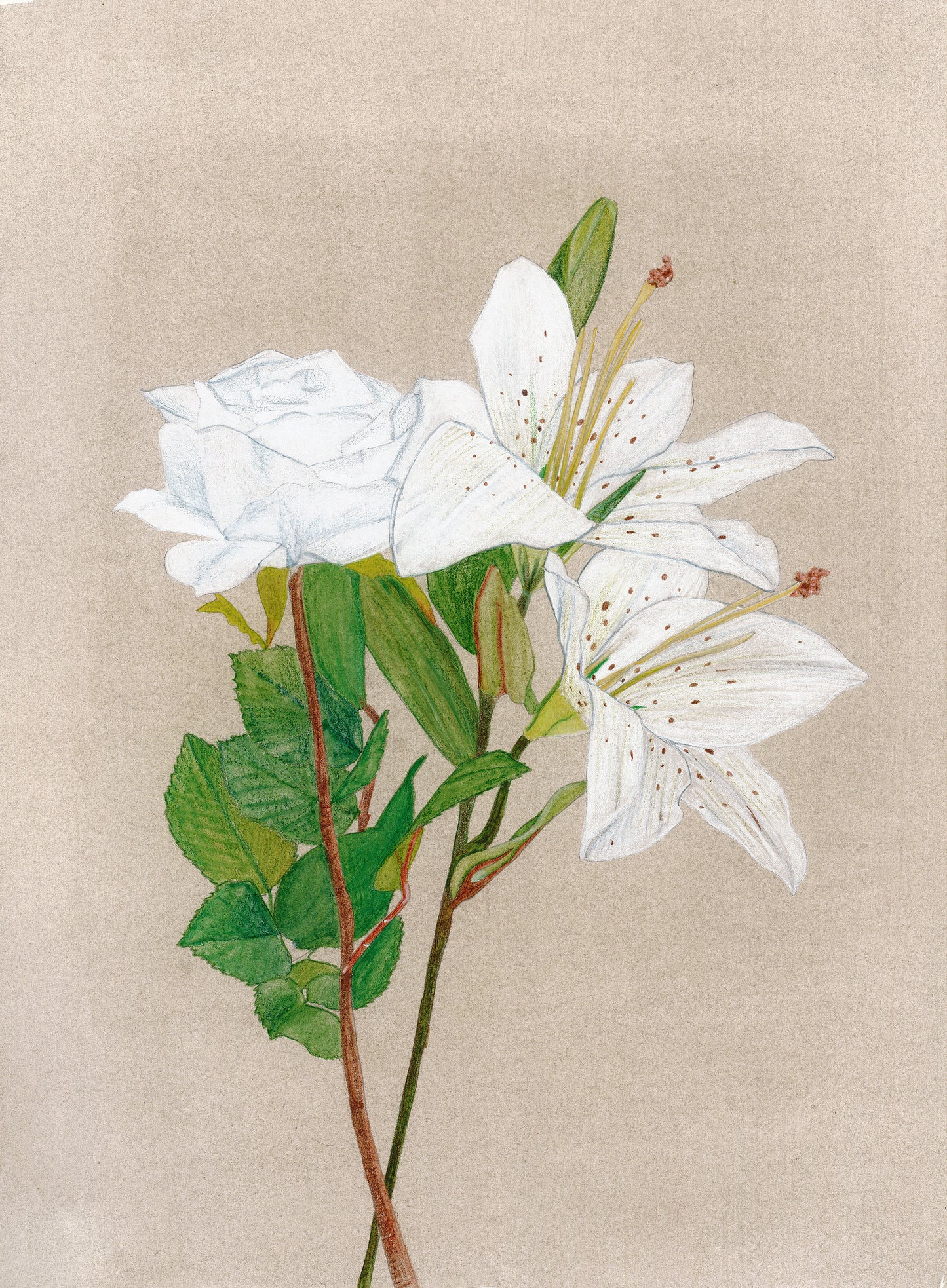 La rose murmure au lys : que la sérénité fleurisse! impression d’art