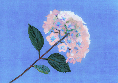Hydrangea vaporeux, impression d’art